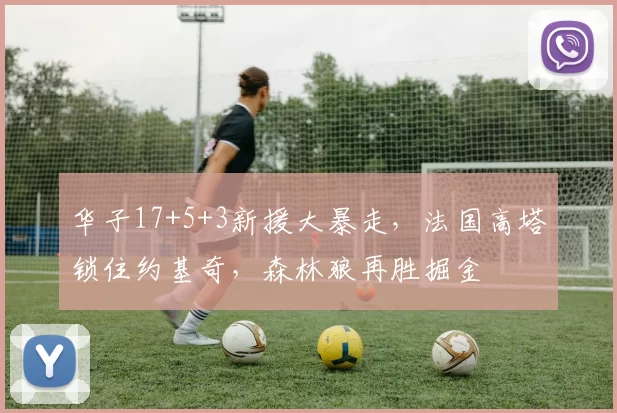 华子17+5+3新援大暴走，法国高塔锁住约基奇，森林狼再胜掘金