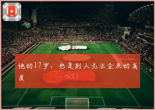 他的17岁，也是别人无法企及的高度